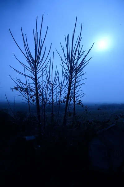 DSC_1036 (Large).JPG